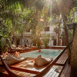 Auberge de jeunesse Che & Bar Adults Only, Tulum